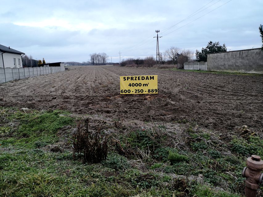 Działka budowlana Niedźwiada