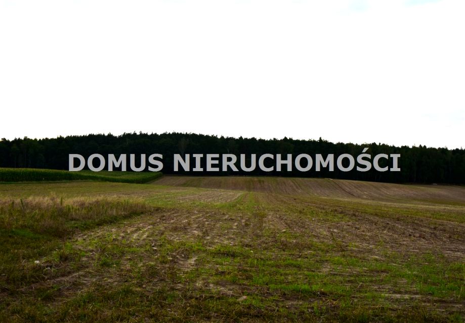 Działka Tworzyjanki