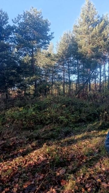 Działka budowlana Pieńki Henrykowskie