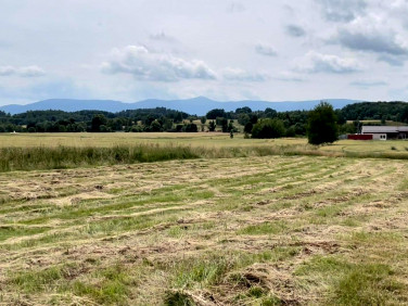 Działka budowlana Jelenia Góra sprzedam