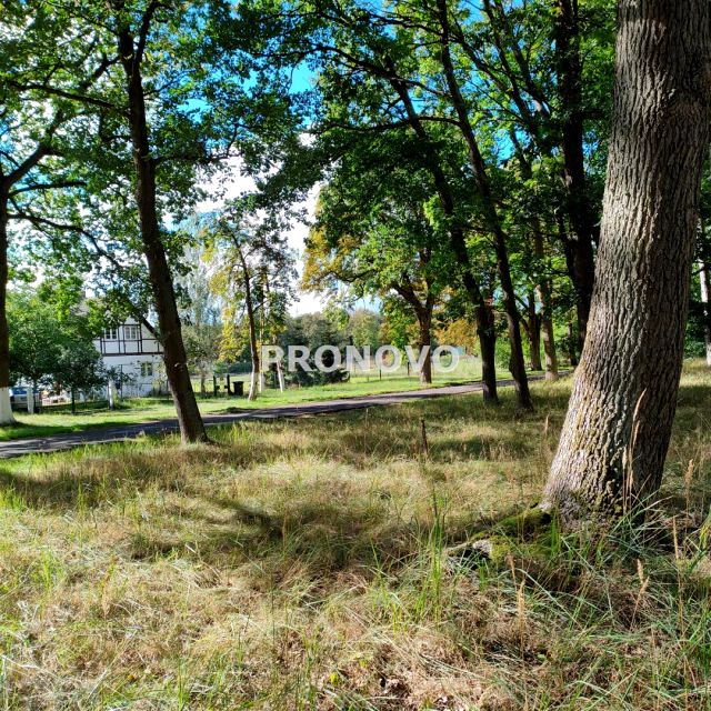 Działka Rzędziny
