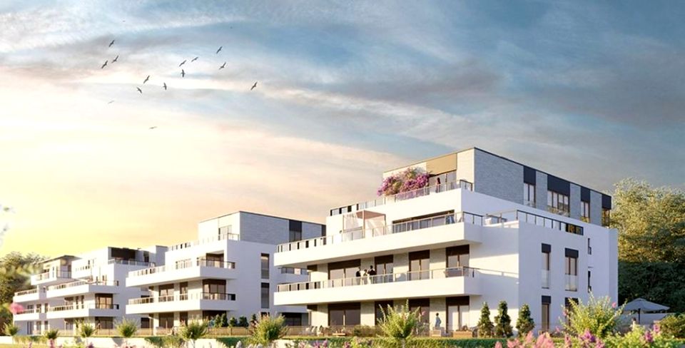 Mieszkanie przy lesie