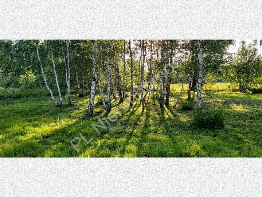 Działka Radonie