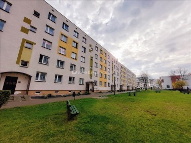 Mieszkanie Chełmża