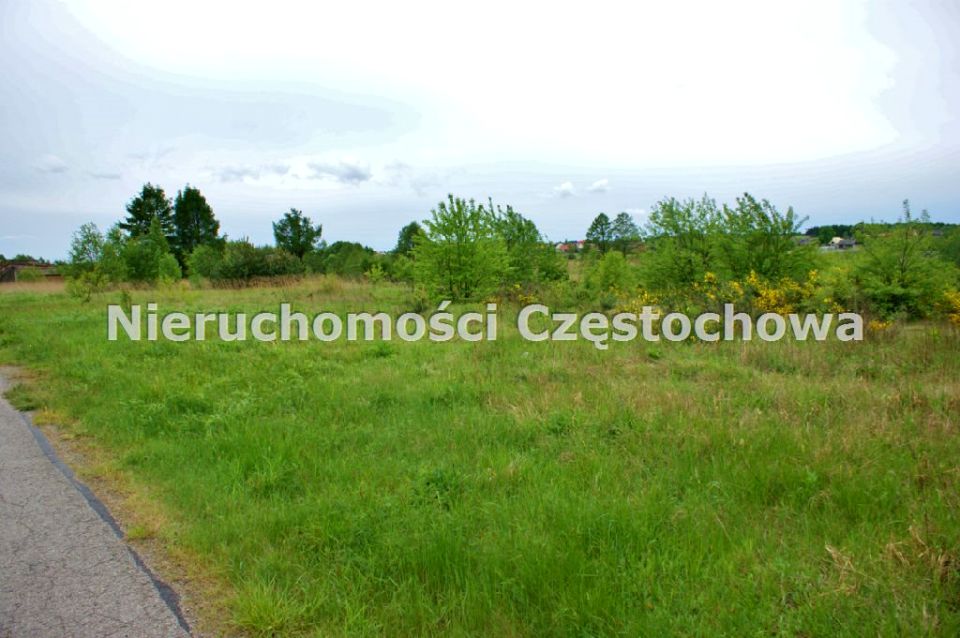 Działka Długi Kąt