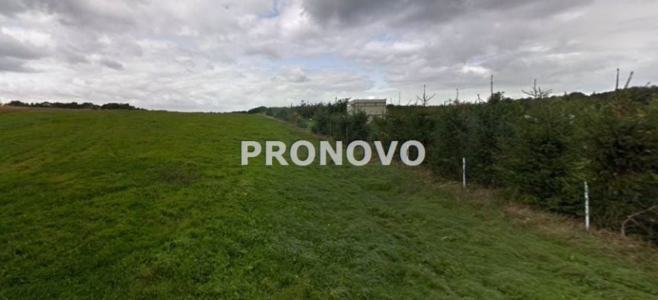 Zdjęcie 3