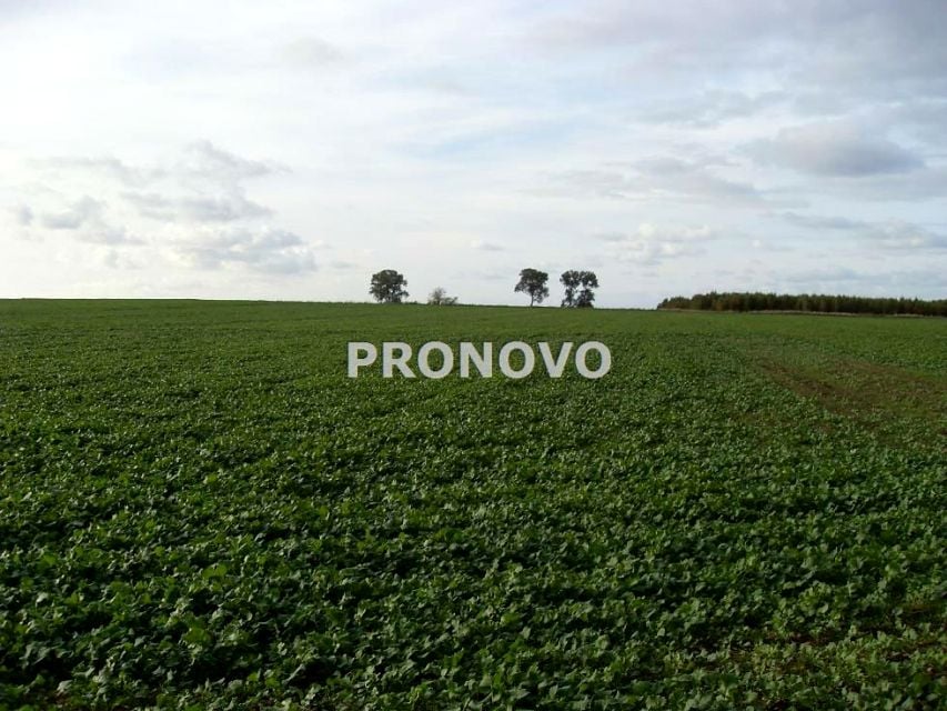 Zdjęcie 3