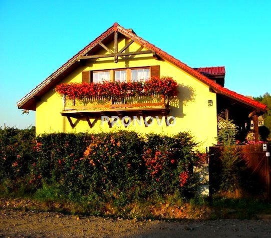 Zdjęcie 3