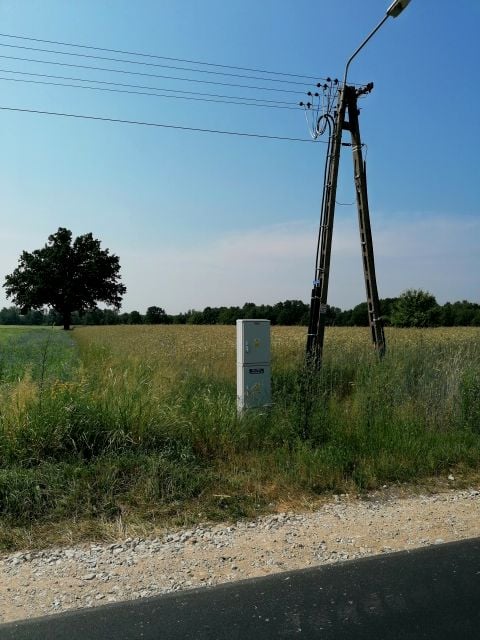Zdjęcie 3