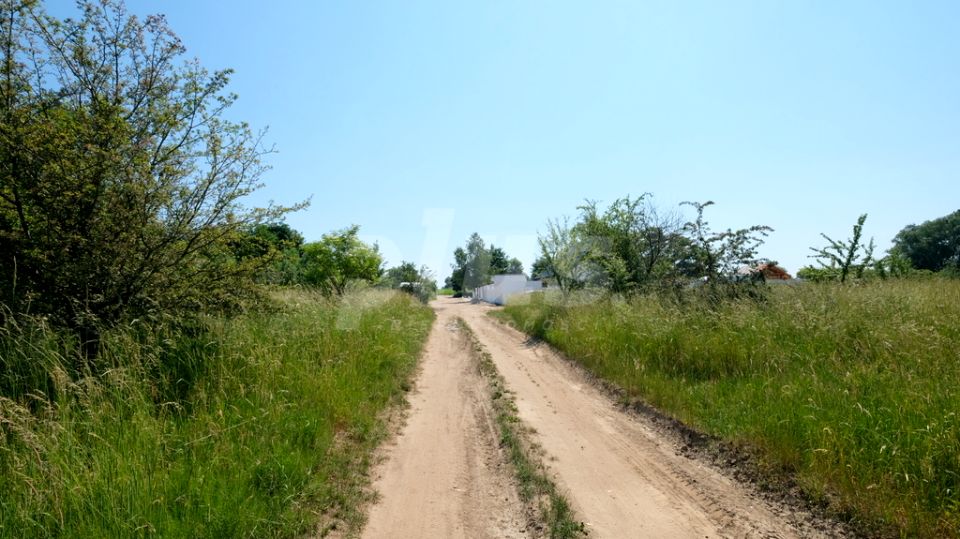 Działka Dołuje