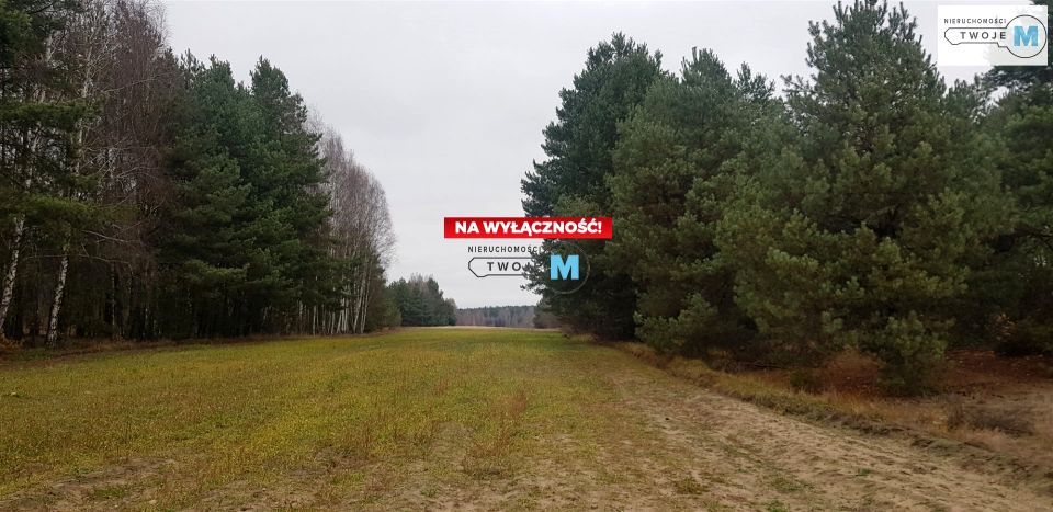 Działka inwestycyjna Końskie