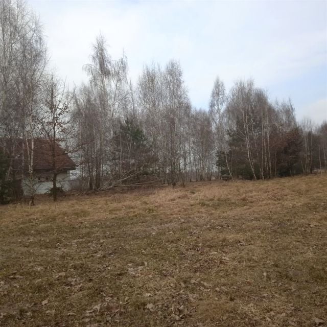 Zdjęcie 3