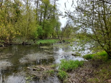 Działka rolna Strzyżew sprzedam