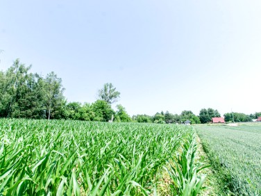 Działka Piotrków Drugi