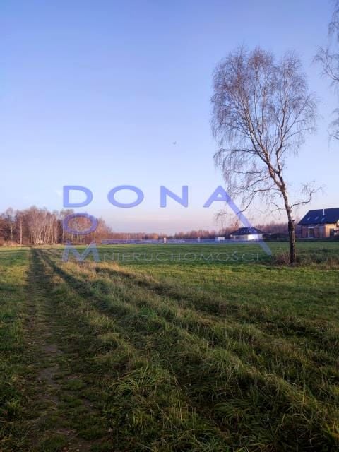 Zdjęcie 3