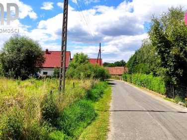 Działka przy lesie