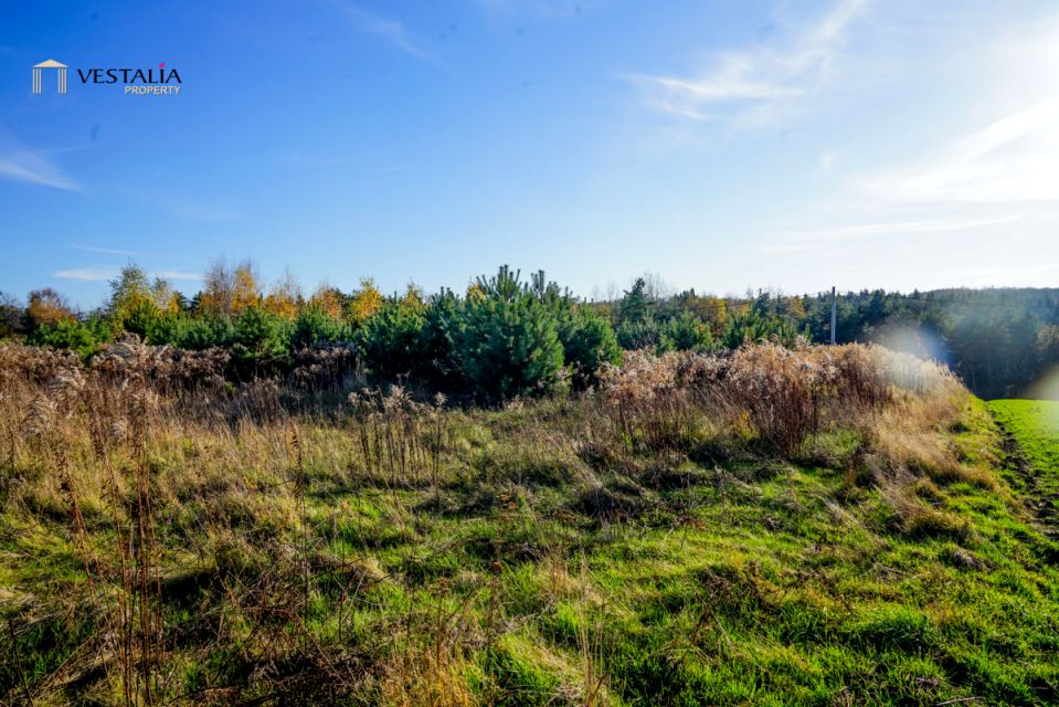 Działka inna Smoleń