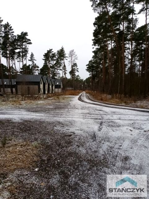 Zdjęcie 3