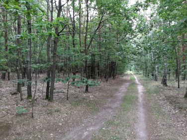 Działka budowlana Gójszcz