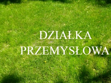 Działka Żabia Wola