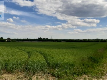 Działka rolna Toruń