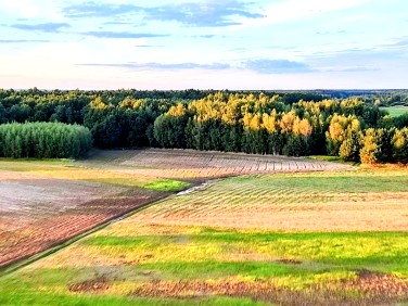 Działka rolna Ruskie Piaski