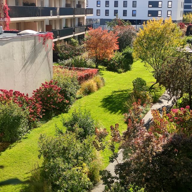 Mieszkanie przy lesie