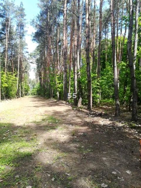 Działka Kwiatkowice