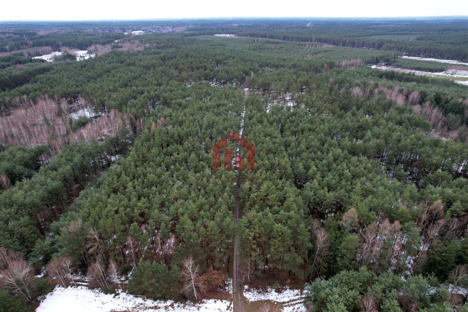 Działka leśna Korabina sprzedam