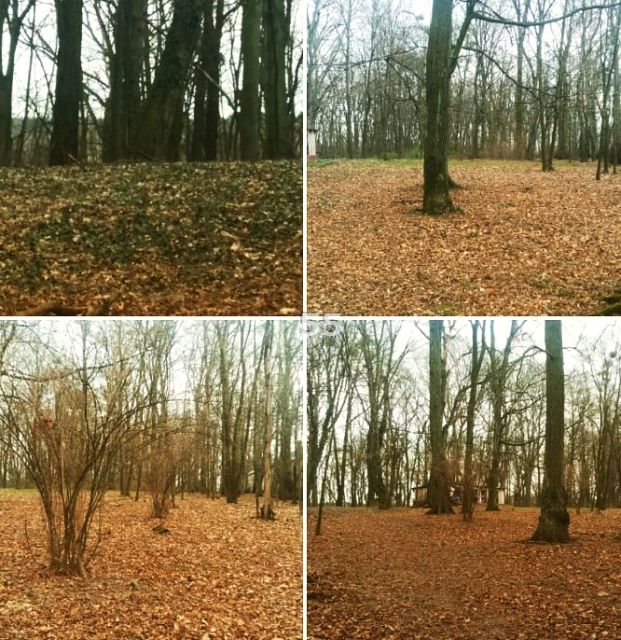 Działka rekreacyjna Tworzyjanki
