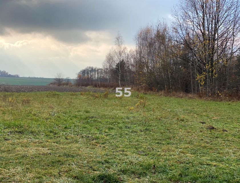 Działka budowlana Lutomiersk