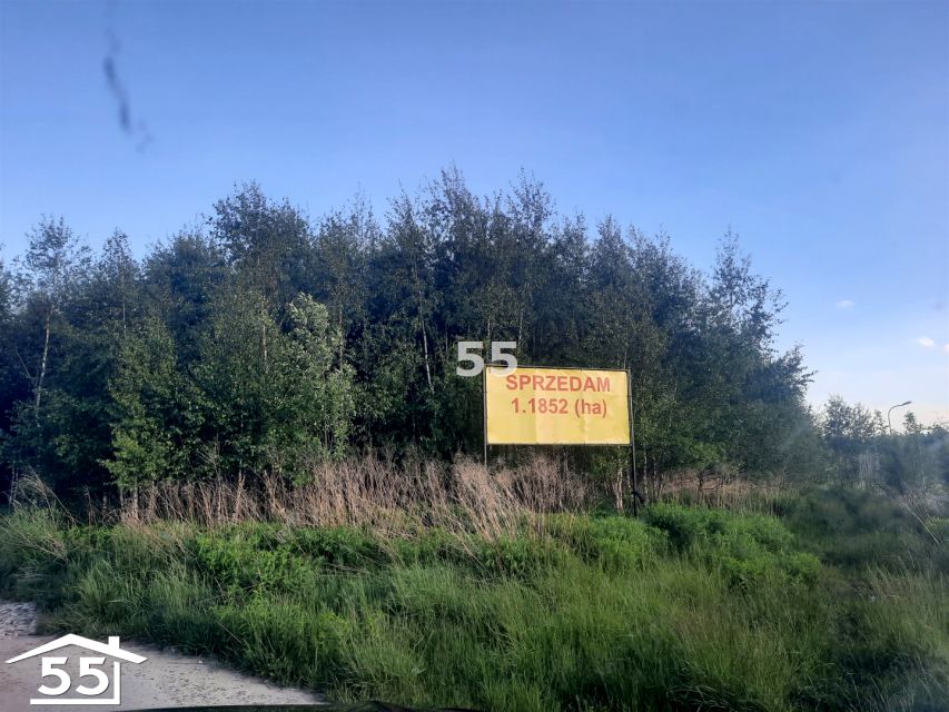 Zalesiona działka Łódź