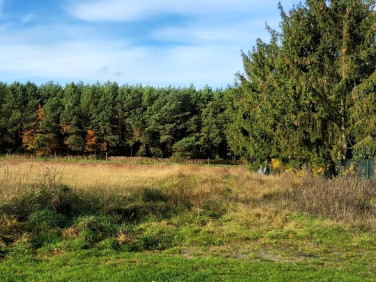 Działka budowlana przy lesie Szczecin