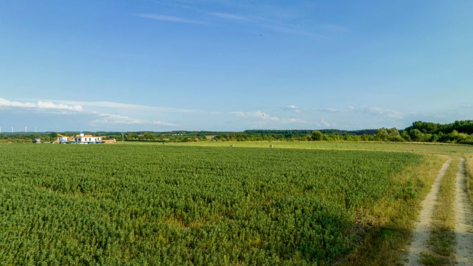 Działka siedliskowa Ustka sprzedam