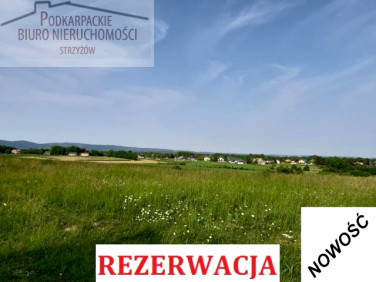 Działka Świerzowa Polska