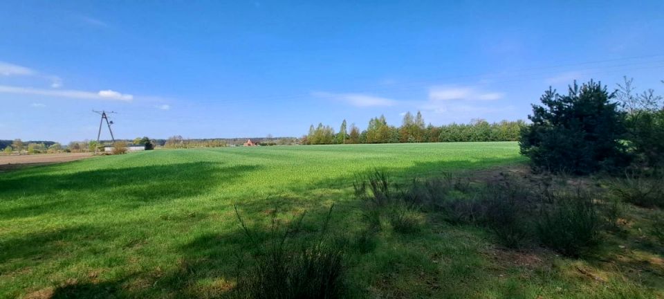 Działka Wąglin