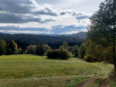 Pusta działka Koniaków