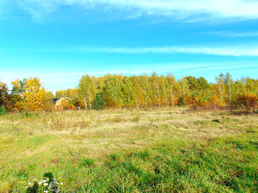 Działka budowlana Korytów