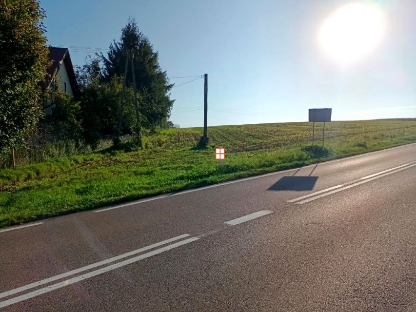 Zdjęcie 3