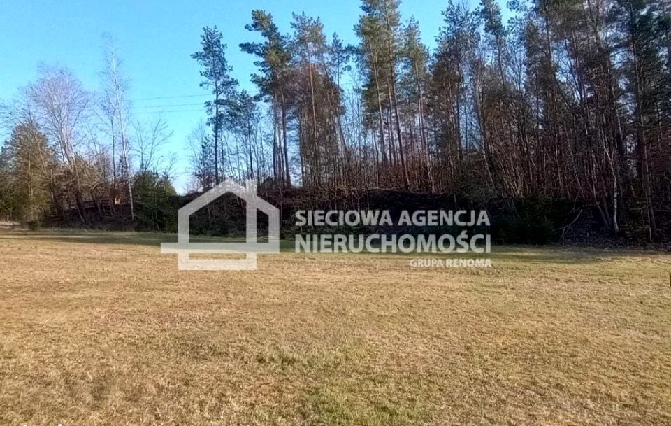 Zdjęcie 3