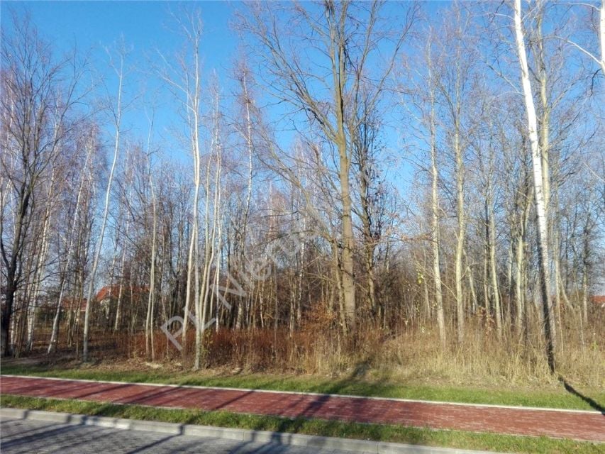 Sprzedam działkę Pruszków - 16 040 m²