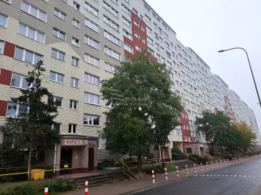 Mieszkanie Legnica