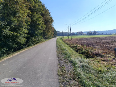 Działka Podlesie
