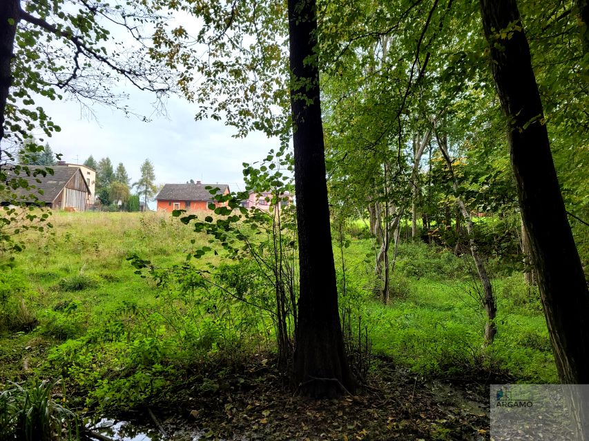 Zalesiona działka Janowice