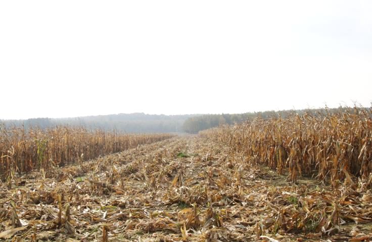 Działka rolna Nowa Jamka sprzedam