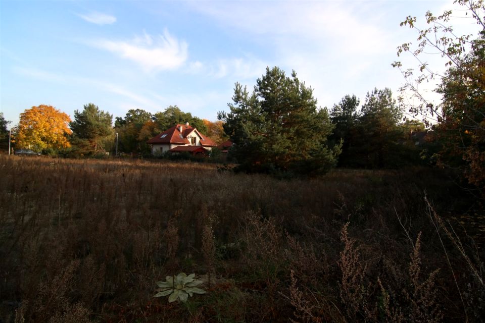 Działka Toruń