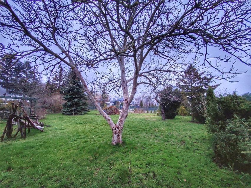 Działka Reda
