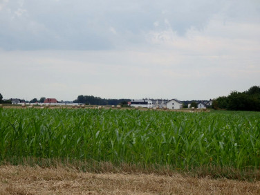 Działka Grodzisk Wielkopolski