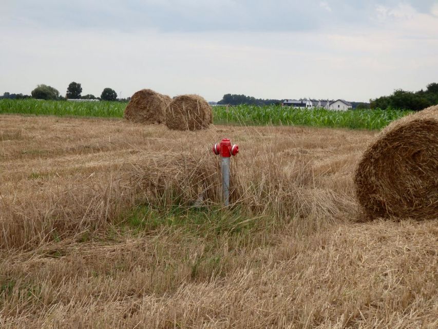 Działka Grodzisk Wielkopolski