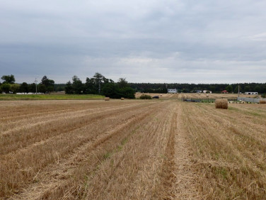 Działka inna Grodzisk Wielkopolski